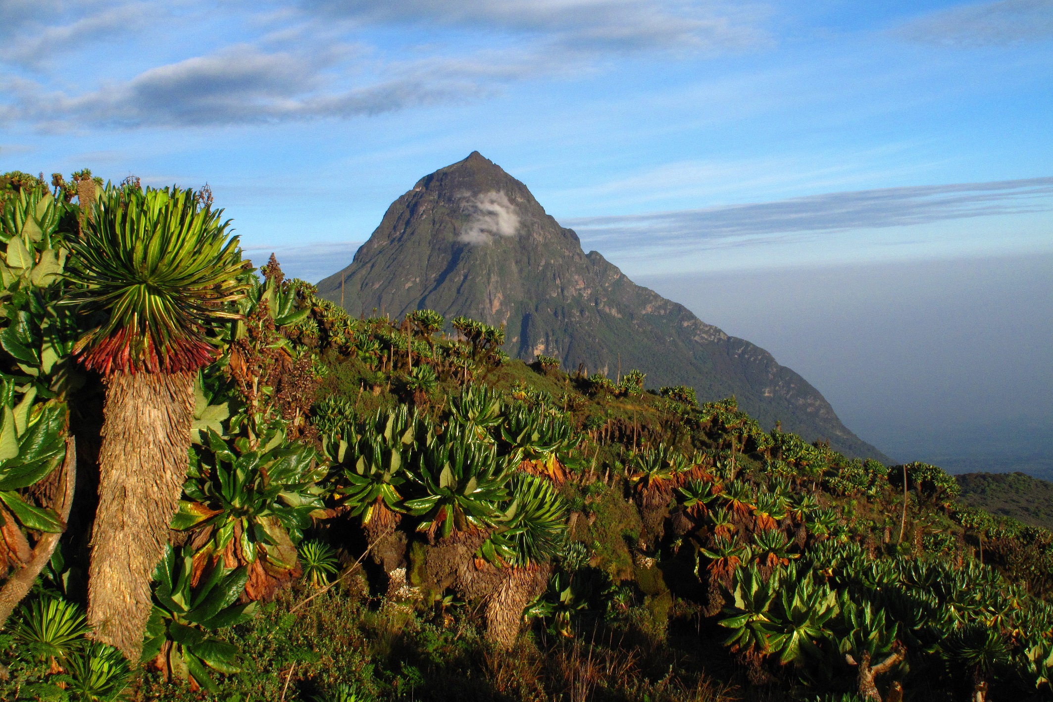 Natur-/Aktivreise Ruanda+Uganda